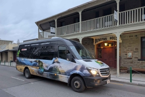 Tour em pequenos grupos de Middlemarch a Queenstown (ida)