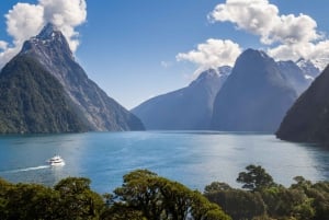 Milford Sound: Boutique-kryssning med liten båt