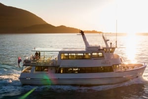 Milford Sound: Boutique-kryssning med liten båt