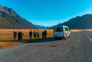 Milford Sound: Boutique-kryssning med liten båt