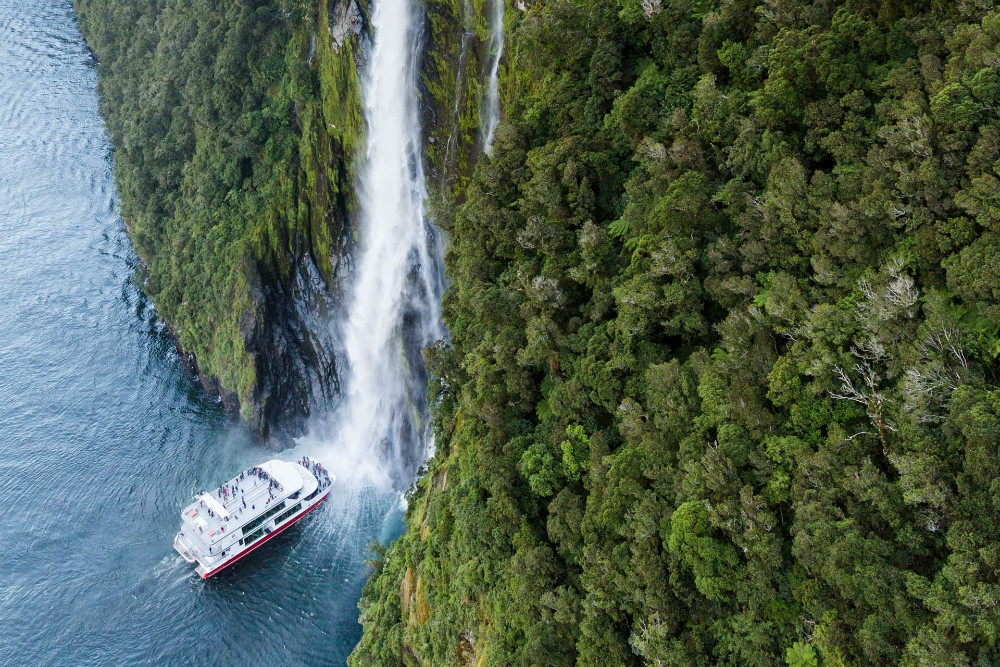 Milford Sound Coach and Cruise Tour