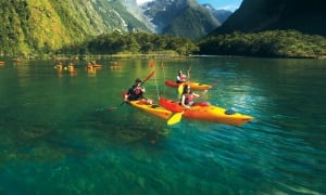 Milford Sound Cruise and Kayaking Combo