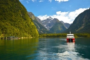 Milford Sound Cruises - Southern Discoveries