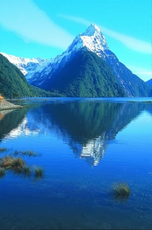 Milford Sound Glacier Flight & Boat Cruise