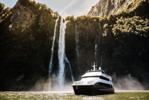 Milford Sound Lunch Cruise