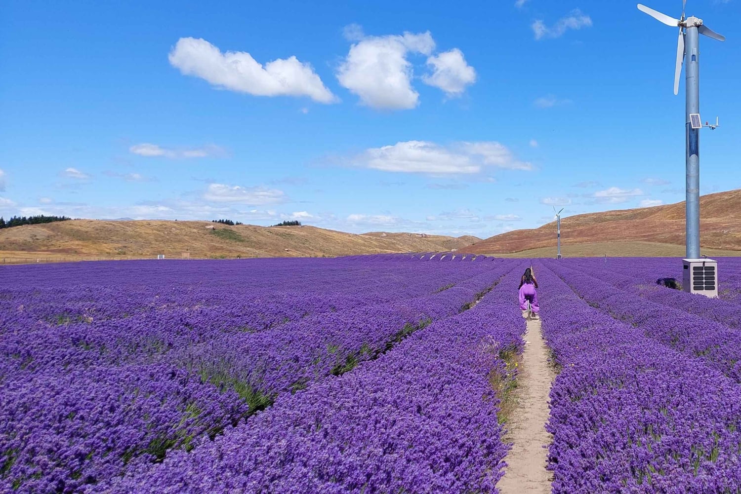 Milford Sound, Mont Cook et plus : visite d'une journée depuis Queenstown