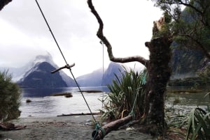 Milford Sound, Mont Cook et plus : visite d'une journée depuis Queenstown