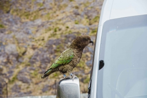 Milford Sound: Premium Small Group Tour from Queenstown