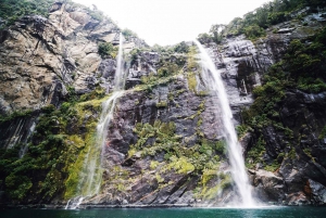 Milford Sound: Premium Small Group Tour from Queenstown