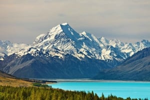 From Queenstown: Half-Day Guided Tour to Mount Cook