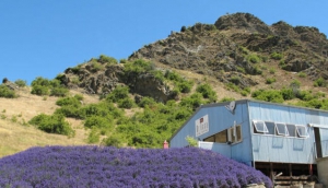 Best Wineries For Lunch In Queenstown