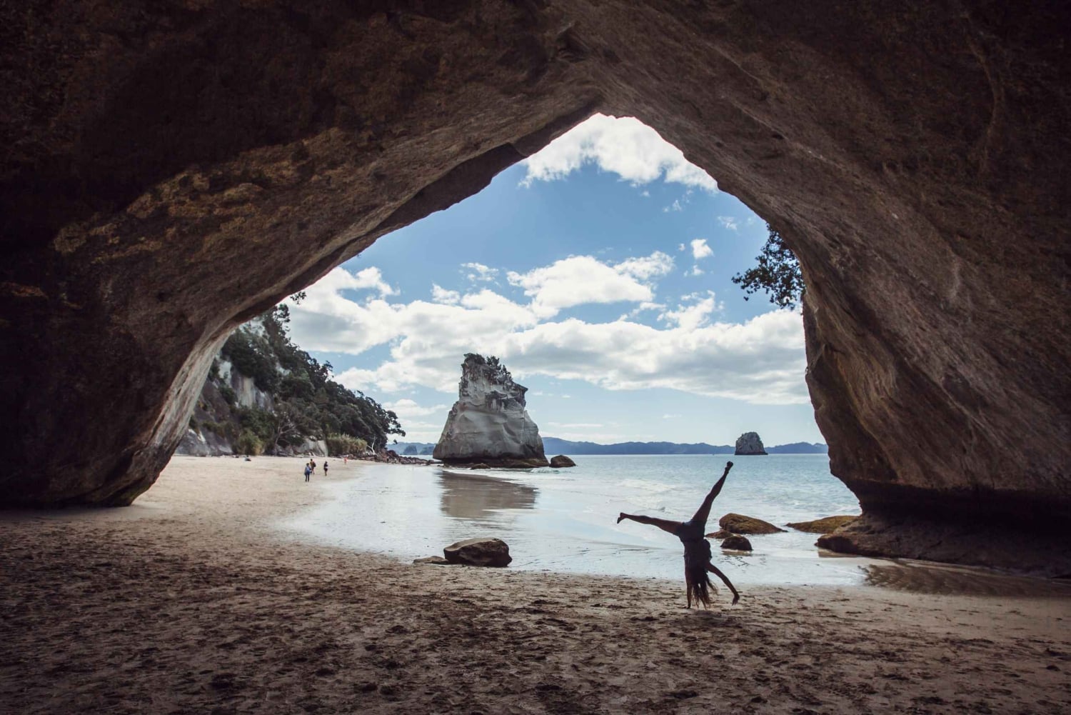 Национальный проездной на автобус Hop-On Hop-Off «Funky Chicken»