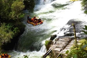 Nouvelle-Zélande : visite privée de 9 jours avec 14 à 16 activités