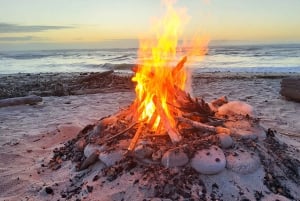 Nowa Zelandia: 90-dniowa wycieczka z przewodnikiem po Wyspach Północnych i Południowych