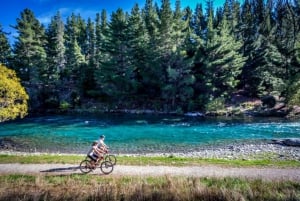 New Zealand: National Hop-On Hop-Off Pass