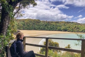 New Zealand South Island: 6-Day Stewart Island & Fiordland