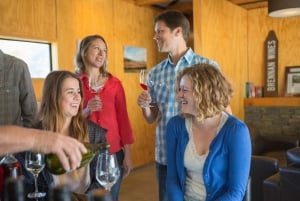 From Queenstown: 3 Winery Tour with Gourmet Wine & Lunch