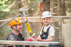 Queenstown: 2-Hour Zipline Tour with 4-Lines