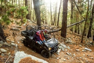Queenstown: 360-Degree UTV Tour