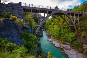 Queenstown : Visite guidée à vélo de l'Ale Trail avec navette