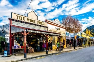 Queenstown : Visite guidée à vélo de l'Ale Trail avec navette