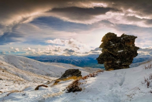 Queenstown y alrededores: Tour de Fotografía Privado de Día Completo