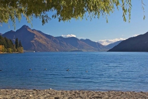 Queenstown and Fox Glacier 1-Way Transfer