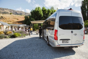 Queenstown: Arrowtown and Gibbston Half-Day Scenic Tour