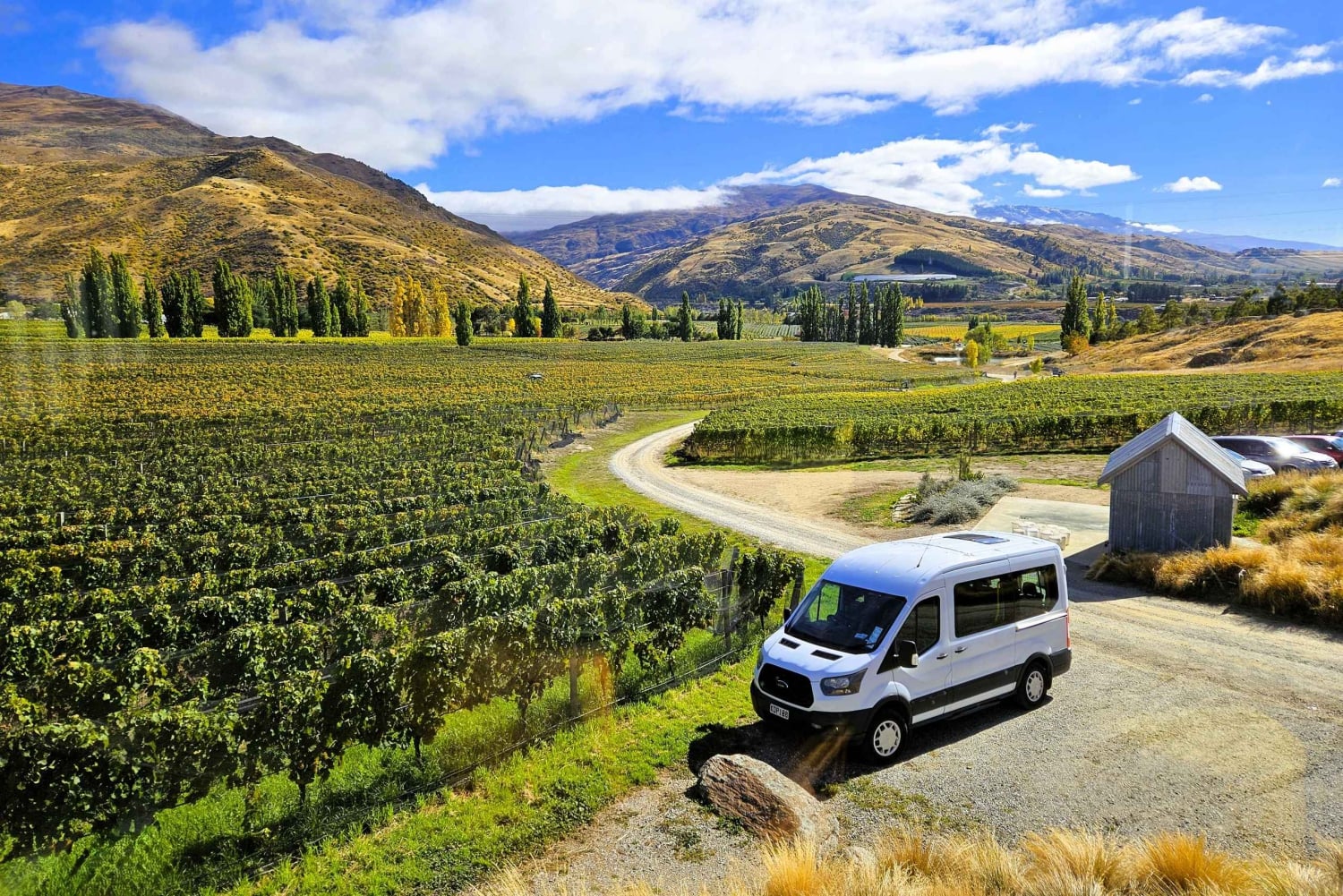 Queenstown: Central Otago Wine Tour
