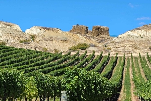 Квинстаун: Винный тур по Центральному Отаго