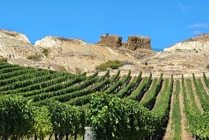 Queenstown: Central Otago Wine Tour