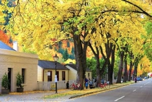 Queenstown: Central Otago Wine Tour