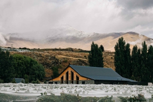 Queenstown: Classic Central Otago Wine Tasting Experience