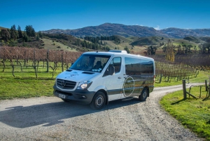 Queenstown: Classic Wine Tour