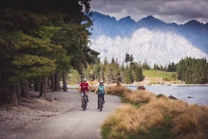 Queenstown: E-bike Hire on the Queenstown Trail