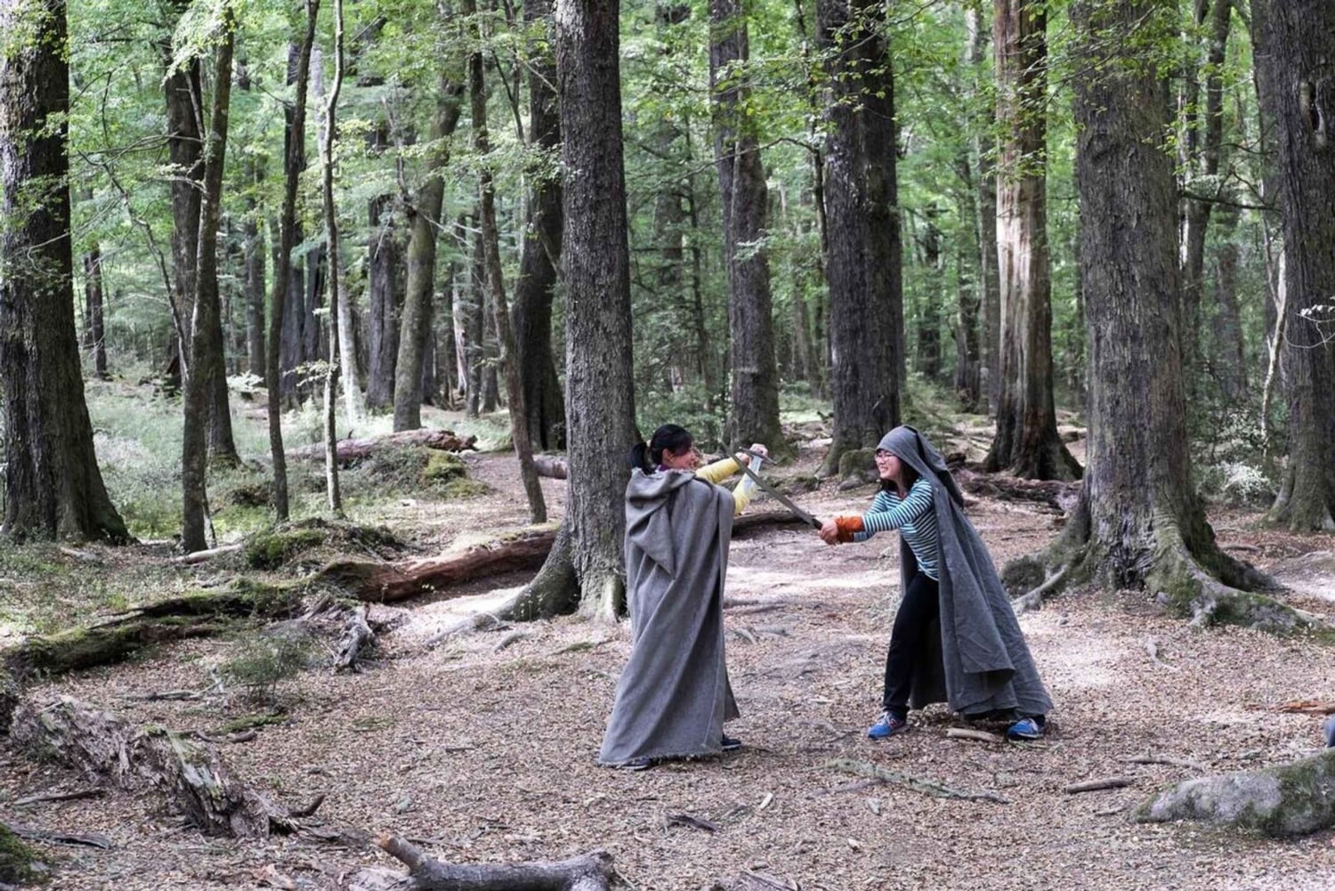 Куинстаун: однодневный тур на внедорожнике по мотивам «Властелина колец» с обедом