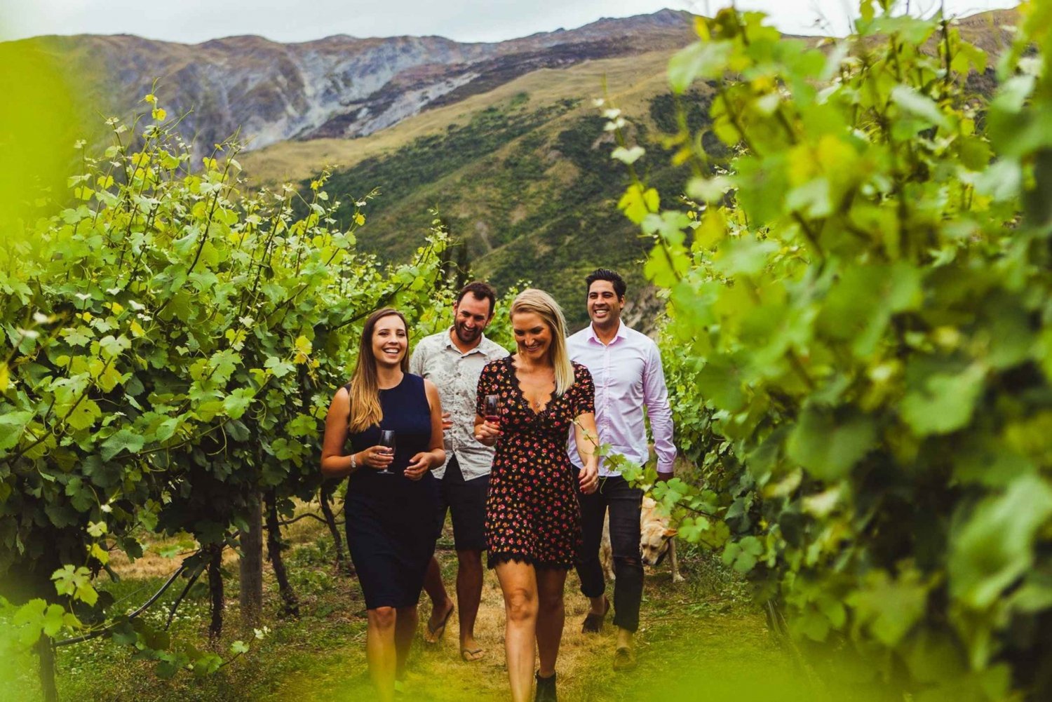 Top 10 Central Otago Wineries to Visit - International Traveller