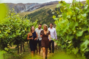 Queenstown: Full-Day Central Otago Food & Wine Tour