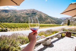 Queenstown: Full-Day Central Otago Food & Wine Tour