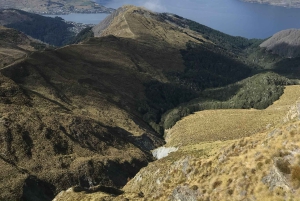 Un día entero de trail running por Queenstown