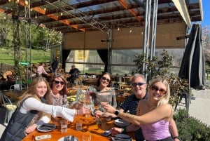 Queenstown: tour de vinos en Gibbston