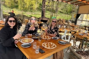 Queenstown: tour de vinos en Gibbston