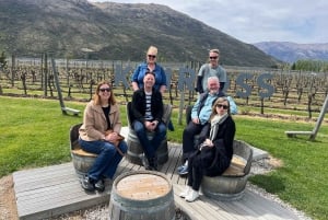 Queenstown: tour de vinos en Gibbston