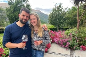 Queenstown: tour de vinos en Gibbston