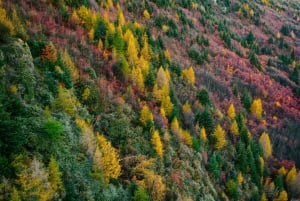 Queenstown : visite de Glenorchy, Arrowtown et Crown Range