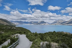 Queenstown: Excursão particular de um dia a Glenorchy com um guia local