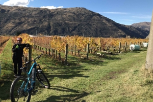 Queenstown: Guided E-Bike Tour with Winery Visits & Tastings