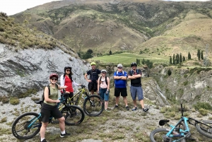 Queenstown: Guided E-Bike Tour with Winery Visits & Tastings