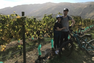Guided E-Bike Wine Tour Ride to the Vines