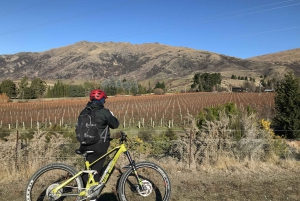 Queenstown: Guided E-Bike Tour with Winery Visits & Tastings